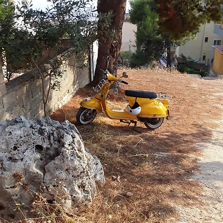 Jakupi * Sarande